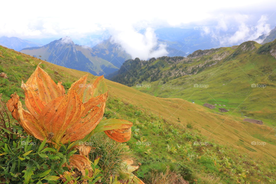 Autumn in the mountains Rochers de Naye, Montreux