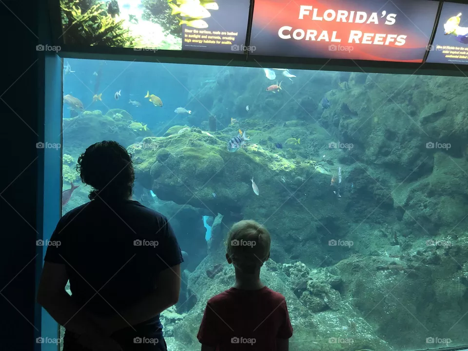 Florida Aquarium