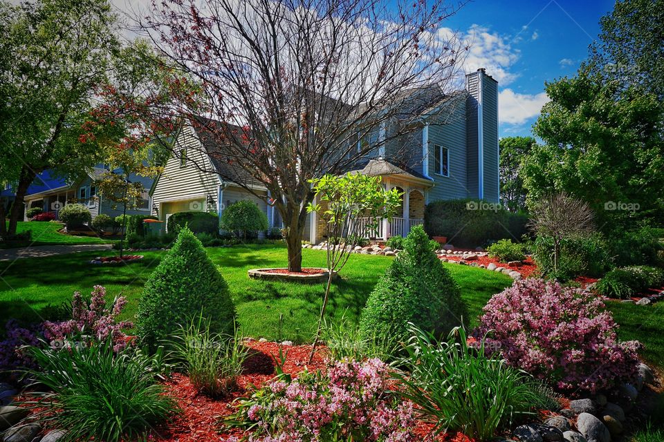 Scenic view of garden