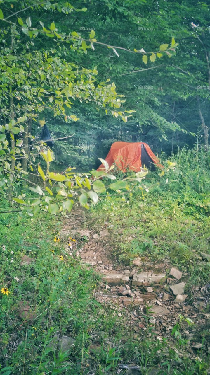 Wilderness tent campsite.