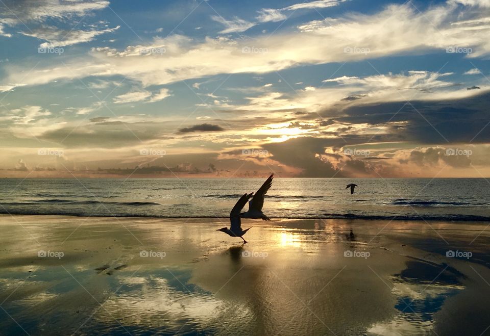 A beautiful sunrise in the Island of Deerfield Beach, Florida. 