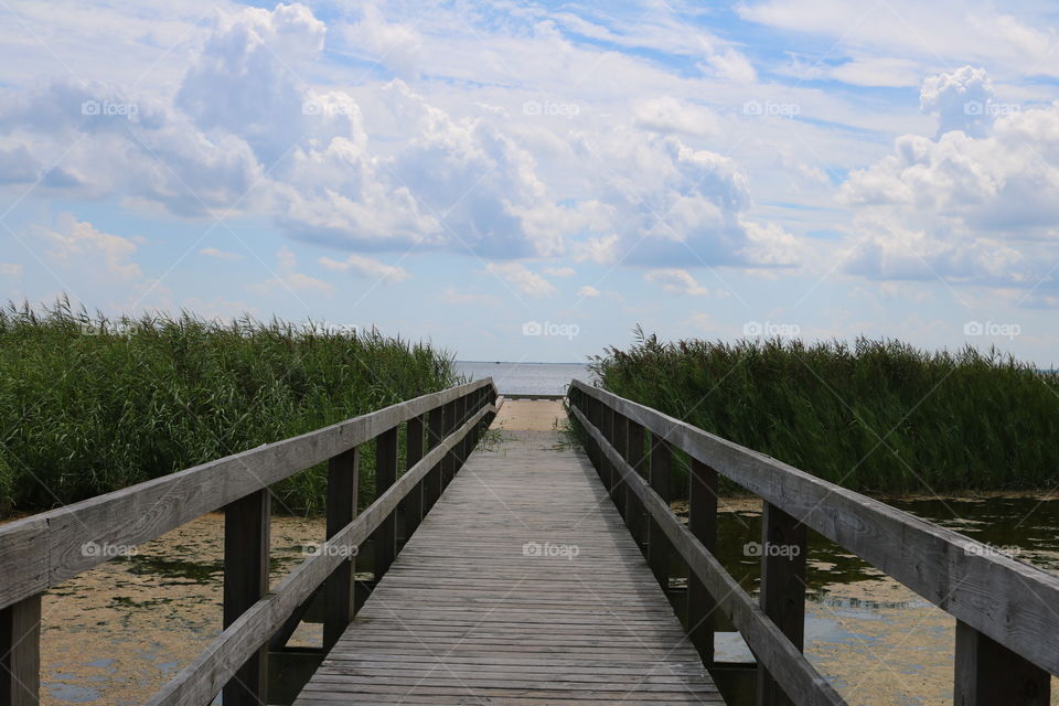 Walkway to Paradise