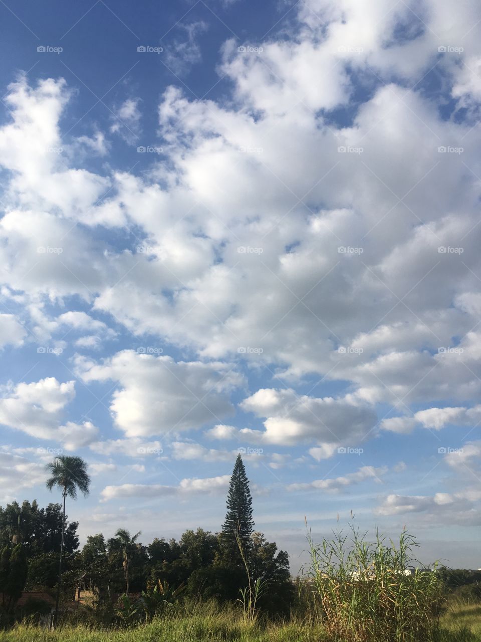 ‪O #céu muito bonito que nos inspira.‬
‪Viva a #Natureza!‬
‪📸‬
‪#FOTOGRAFIAéNOSSOhobby ‬