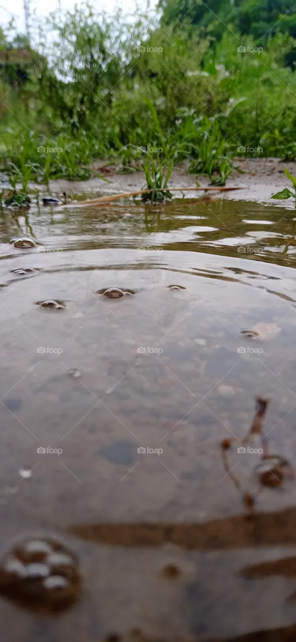 water