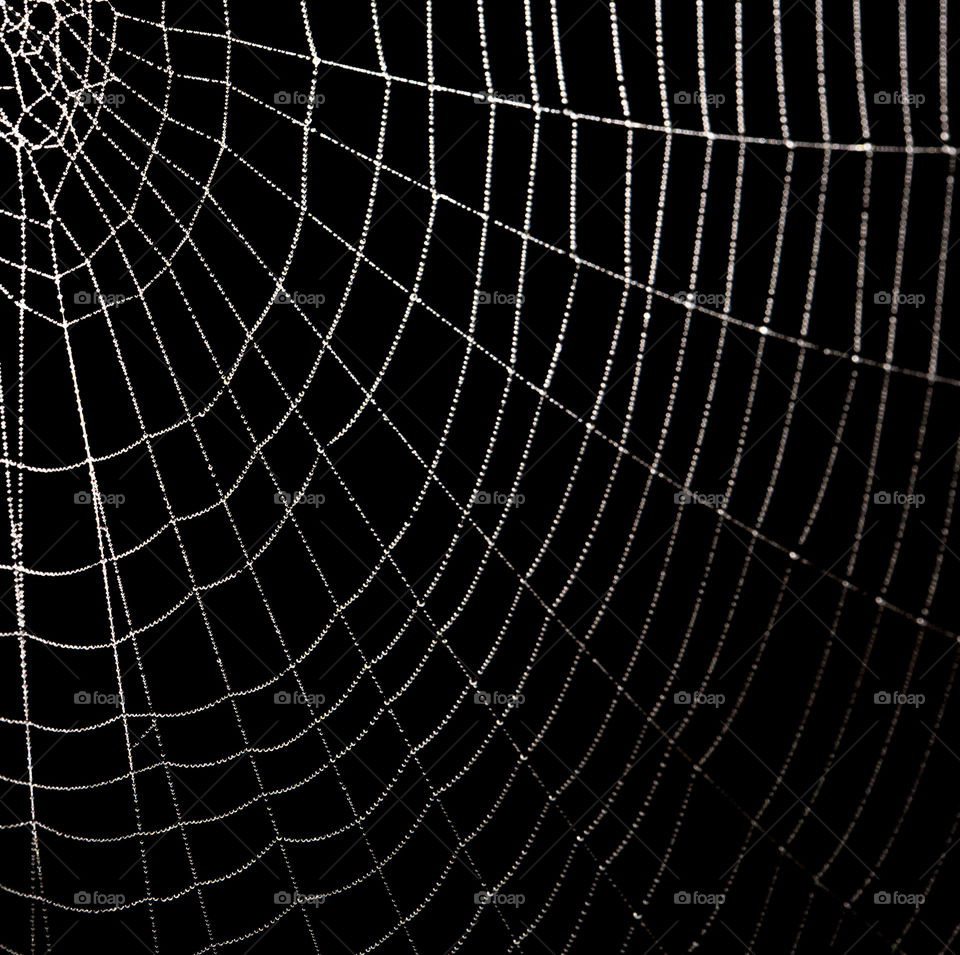 Spider, Spiderweb, Geometry, Net, Pattern