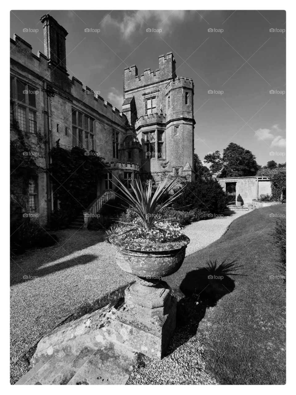 Stately home. Castle 