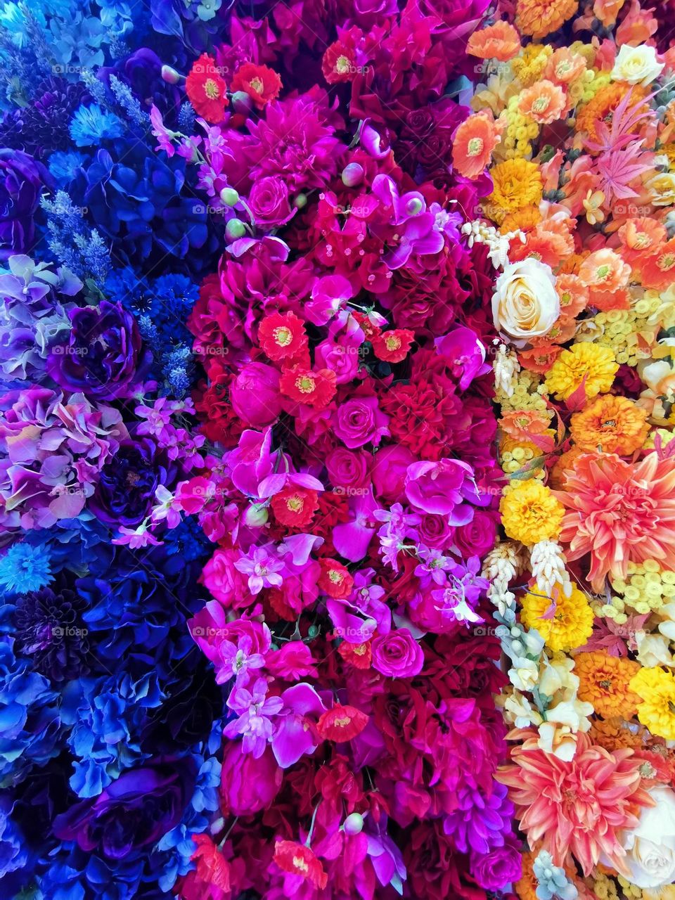 Colourful flowers decoration. Love color photos.