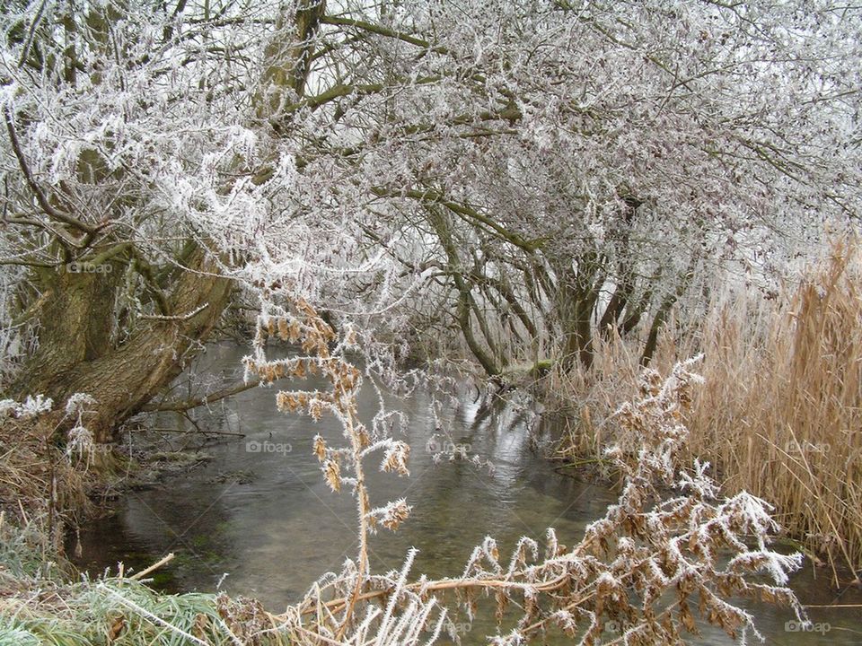 Real source of the Nile?