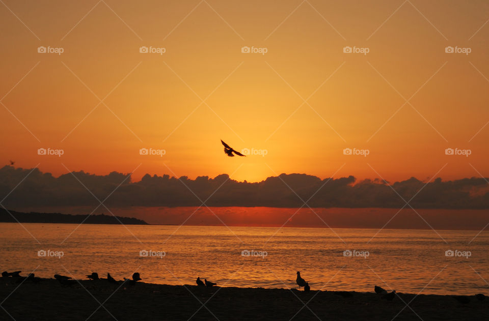 Scenic view during sunrise