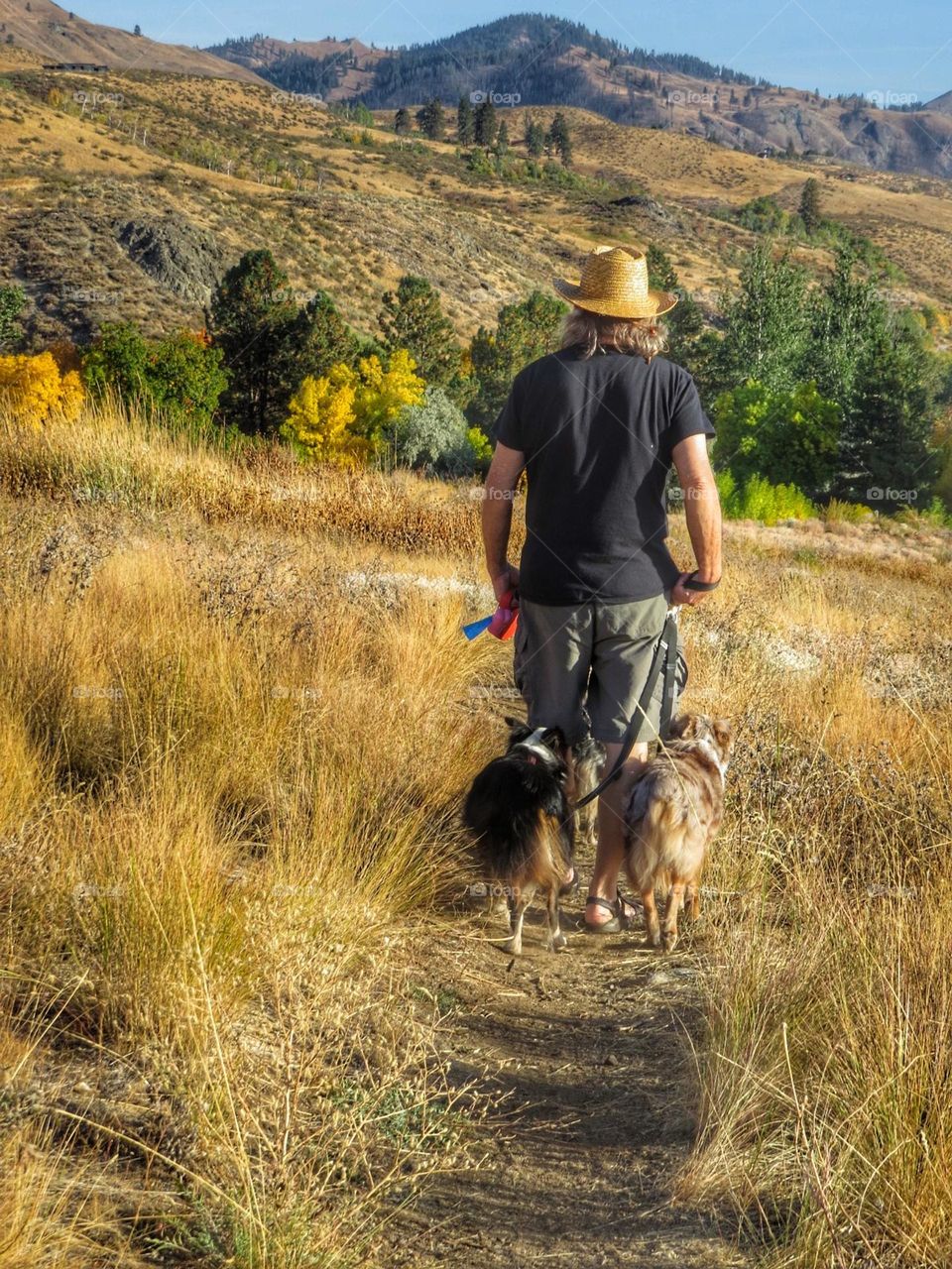 Man walking two dogs