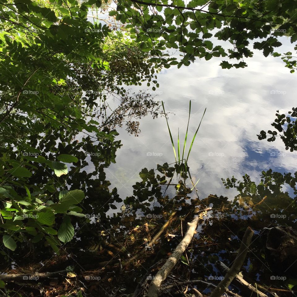 The sky in the water