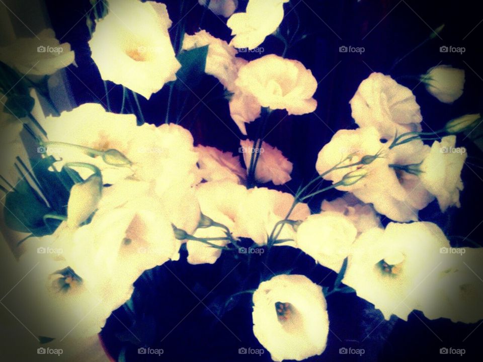 white flowers