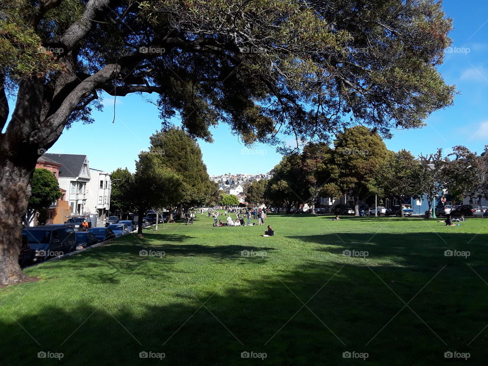 Precita park San Francisco California