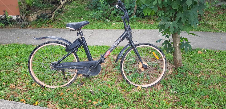 black bicycle on grass