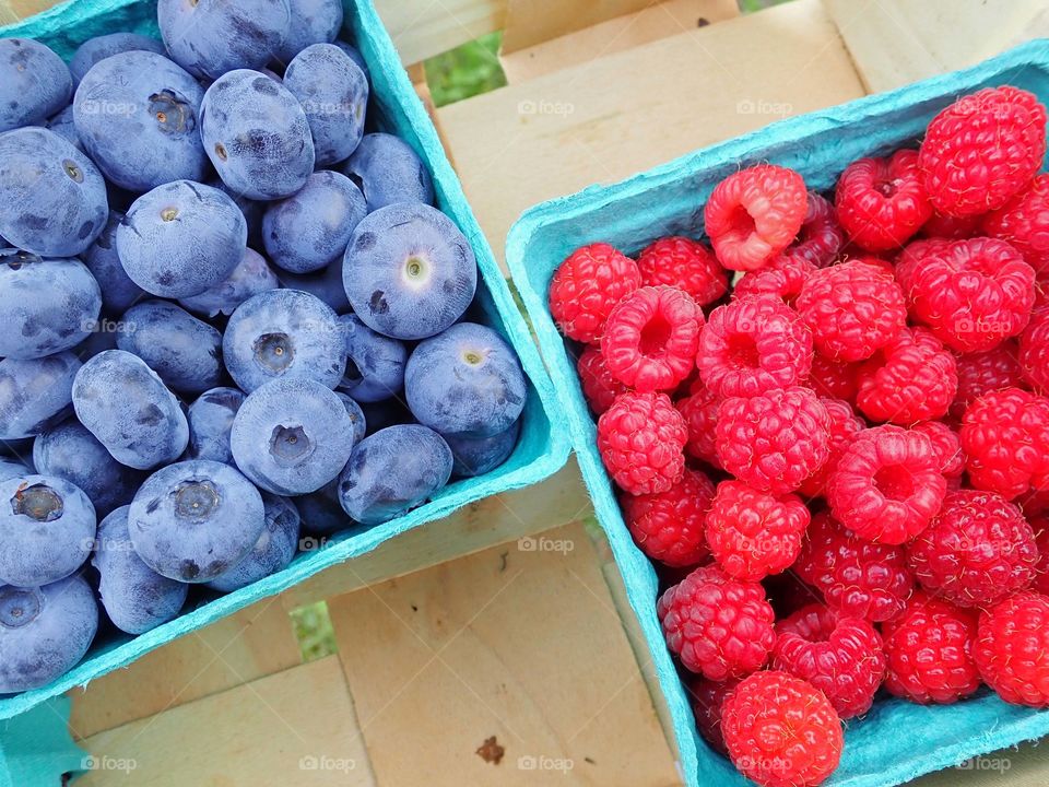 Fresh picked blueberries and red raspberries on the farm in summer