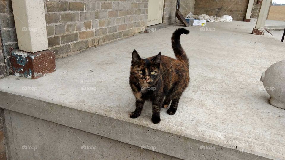 Black looking at camera