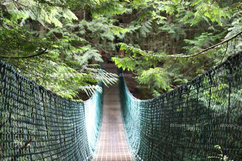 Green suspension bridge across the river in the forest