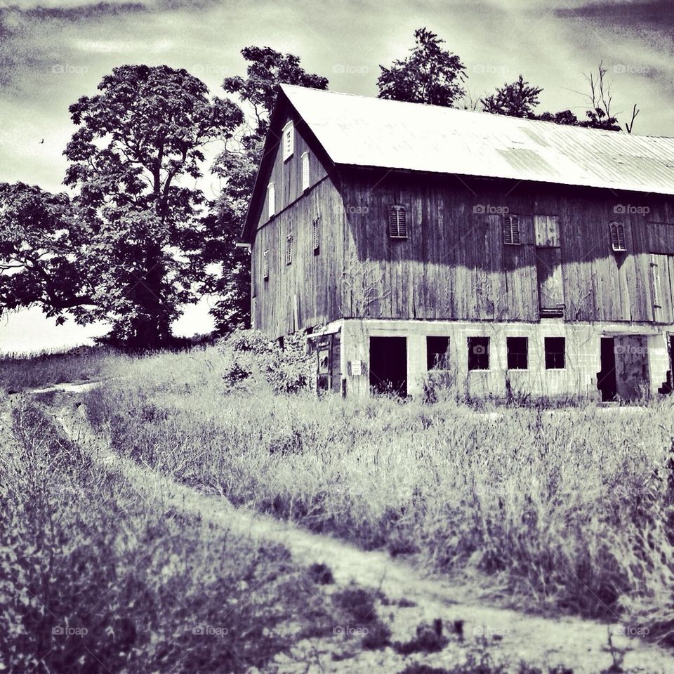 Abandoned barn