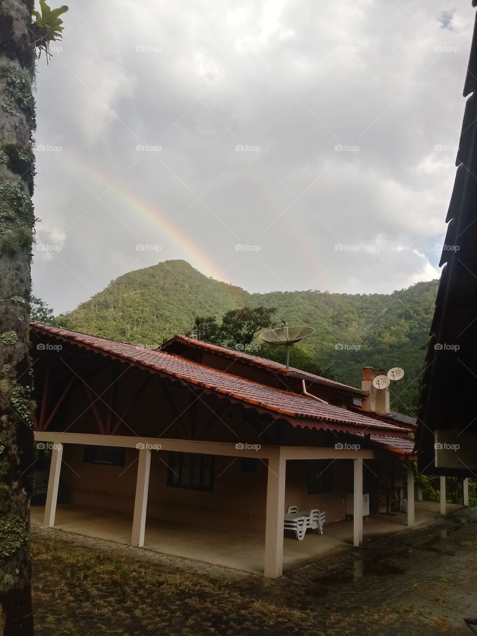 NATURE'S, HOUSE, ENVIRONMENT.