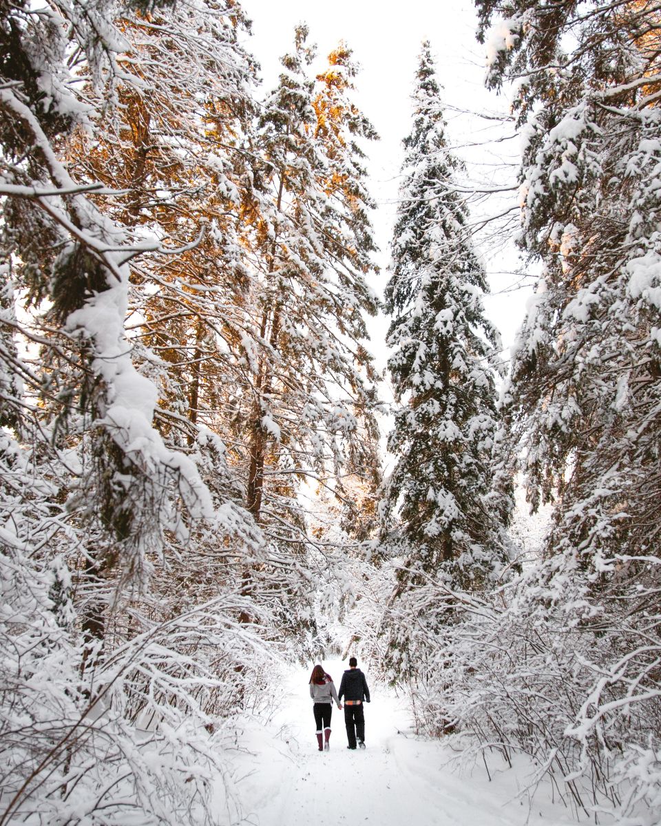 A young couple walking through a massive snowy forest on a beautiful hiking trail
