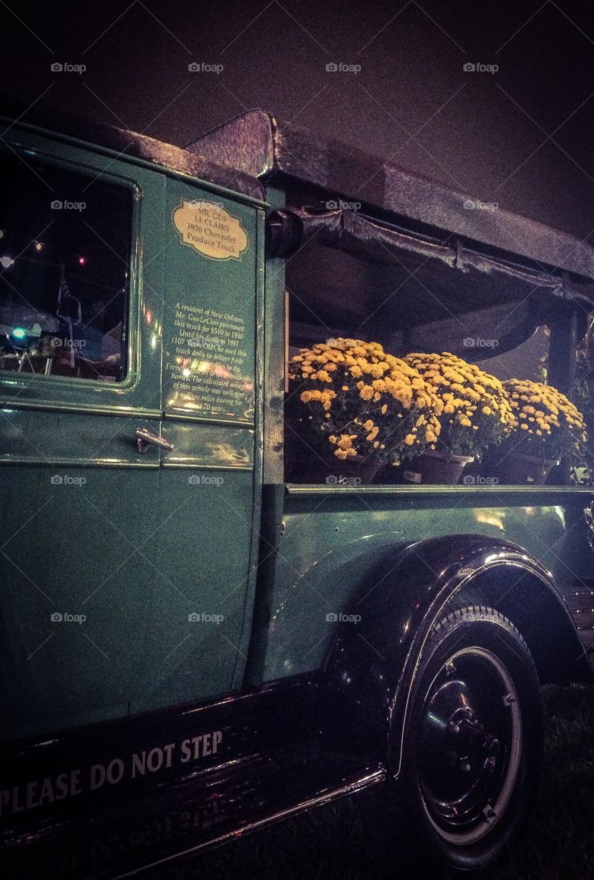 New Orleans is full of interesting things. A beautiful antique truck full of flowers is no surprise in my eclectic city. 