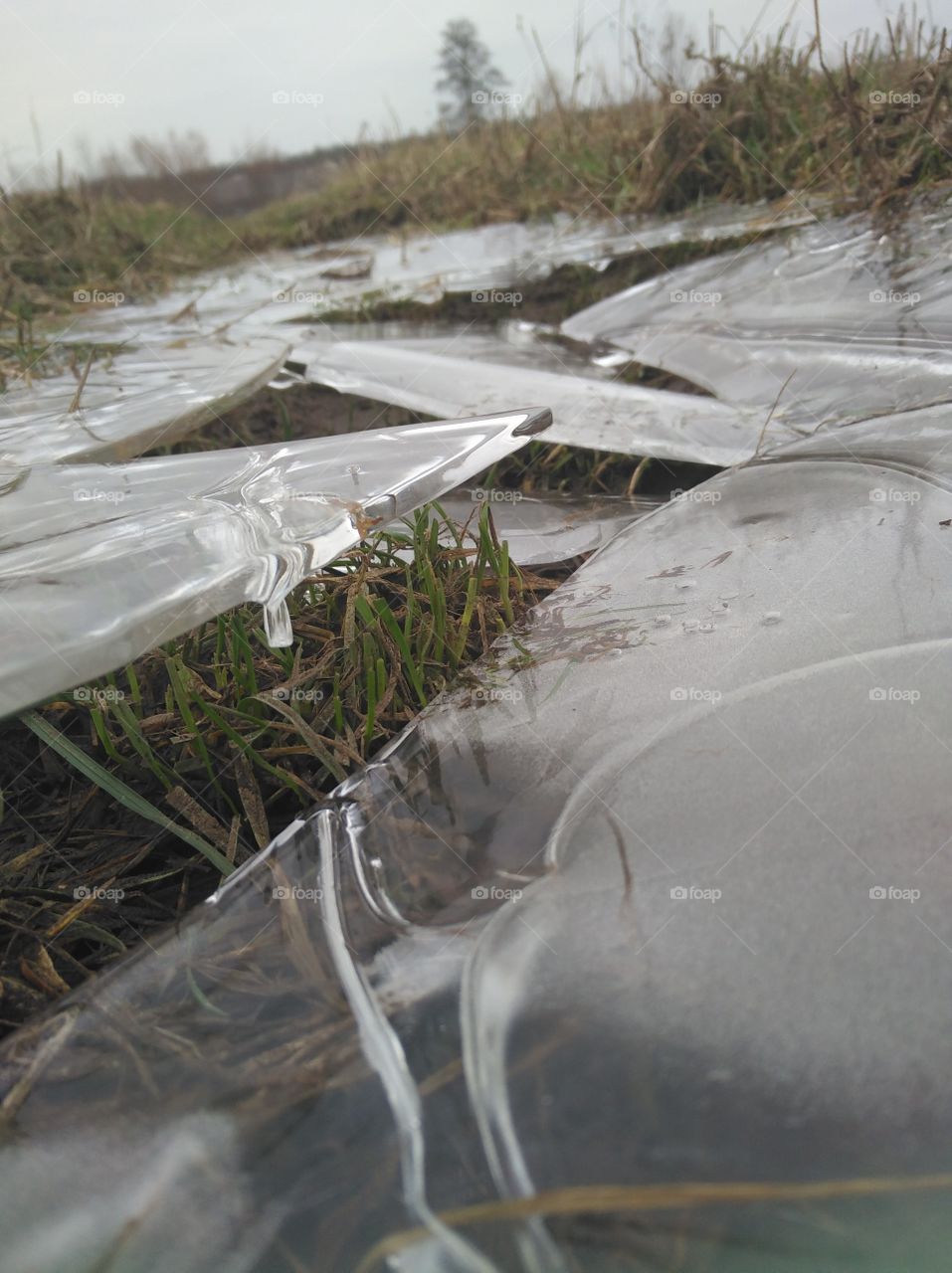 ice on a grassland