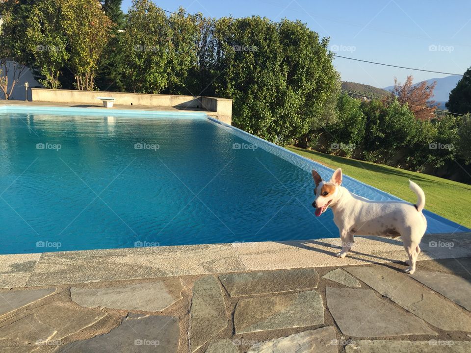 Water, No Person, Summer, Travel, Dug Out Pool