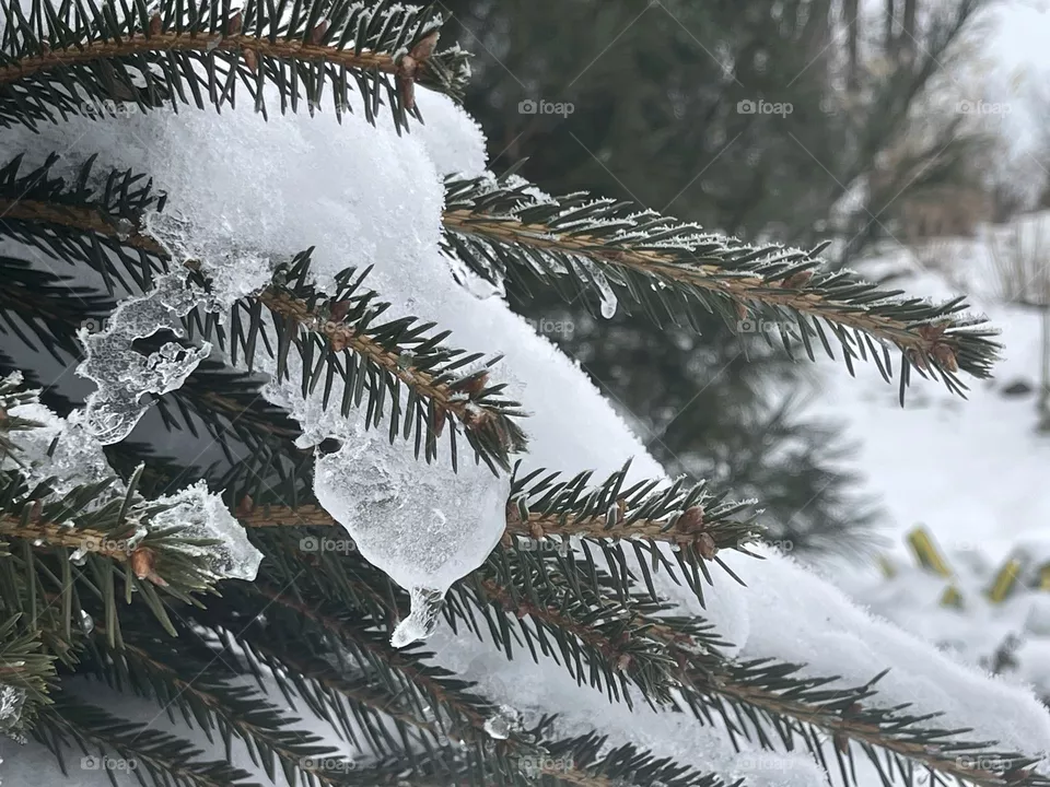 Nature beauty/ cold weather/ snow storms/ snow