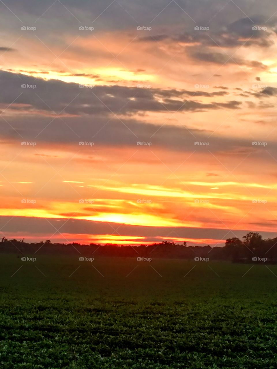 you don't see this in the city... country living at it's best. God's grace!! Florida sunset!