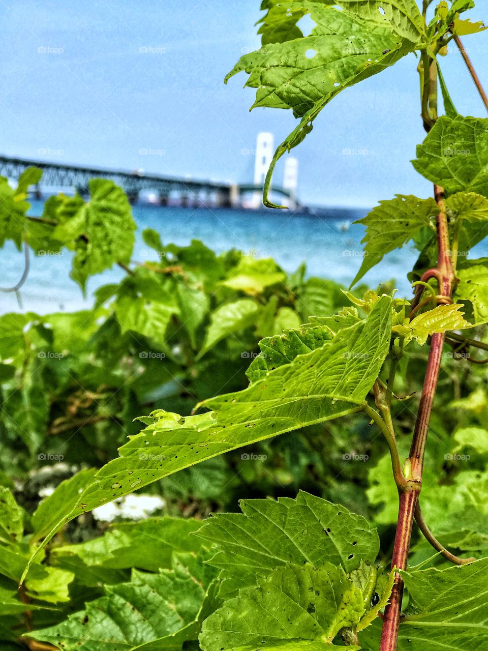 Looking on into hope from your darkest moment forward makes life worth living. Keep the hope. 