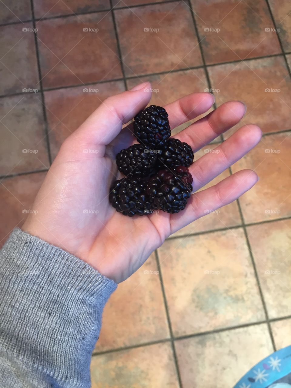 Blackberries 