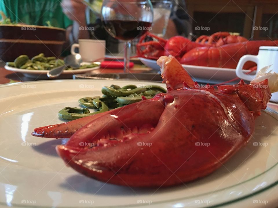 Fresh caught and cooked lobster, lobster tail closeup, plated on family dining table with fresh steamed cooked wild fiddleheads