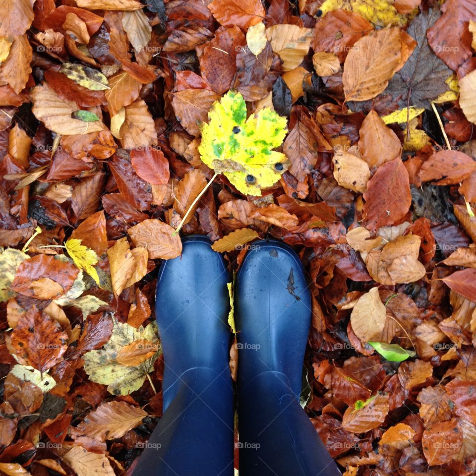 Boots and leaves . View of boots standing in leaves