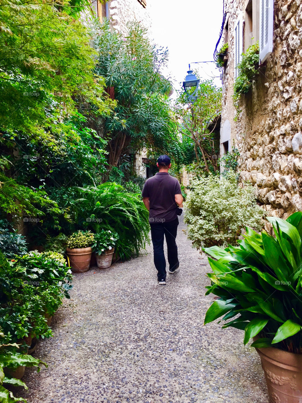 Walk through a lane filled with lush plants in an historic hilltop village in France