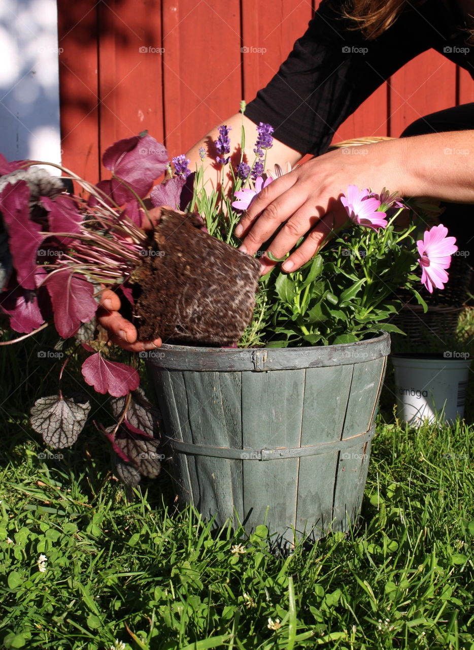 Gardening