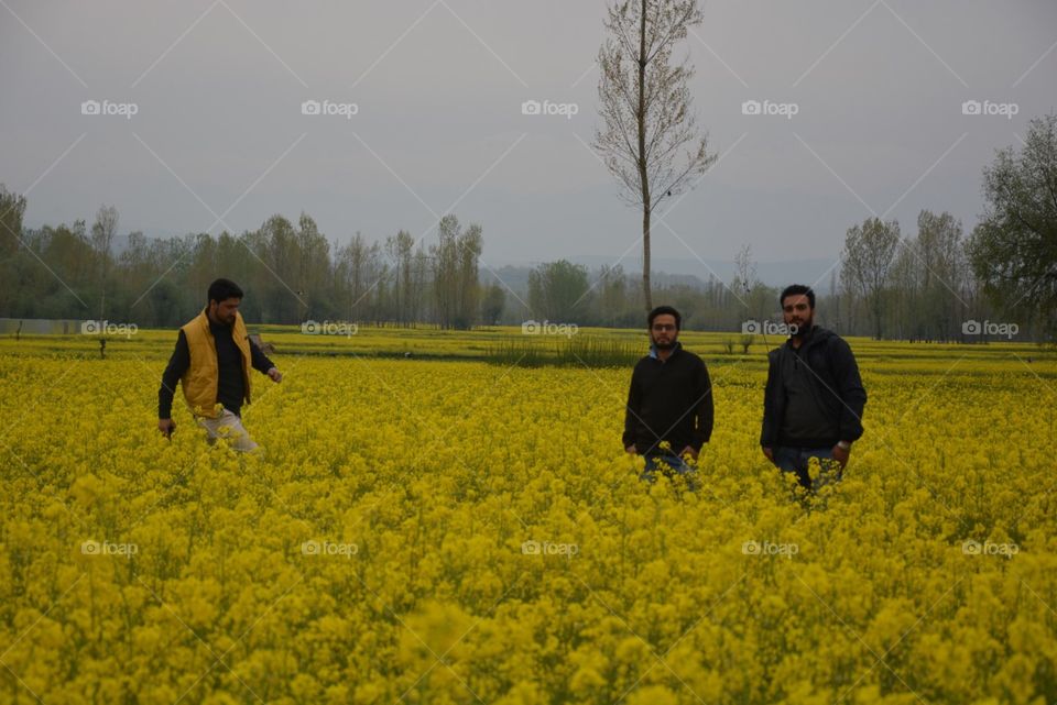 Landscape, Field, Flower, People, Tree