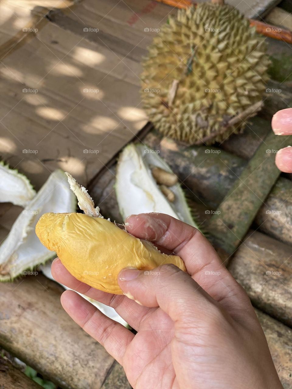Holding a piece of durian by hand on wooden table.