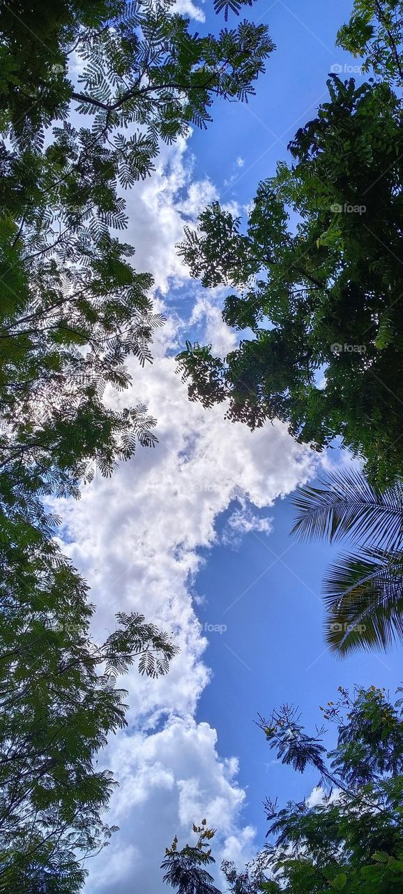 Again, morning blues💙