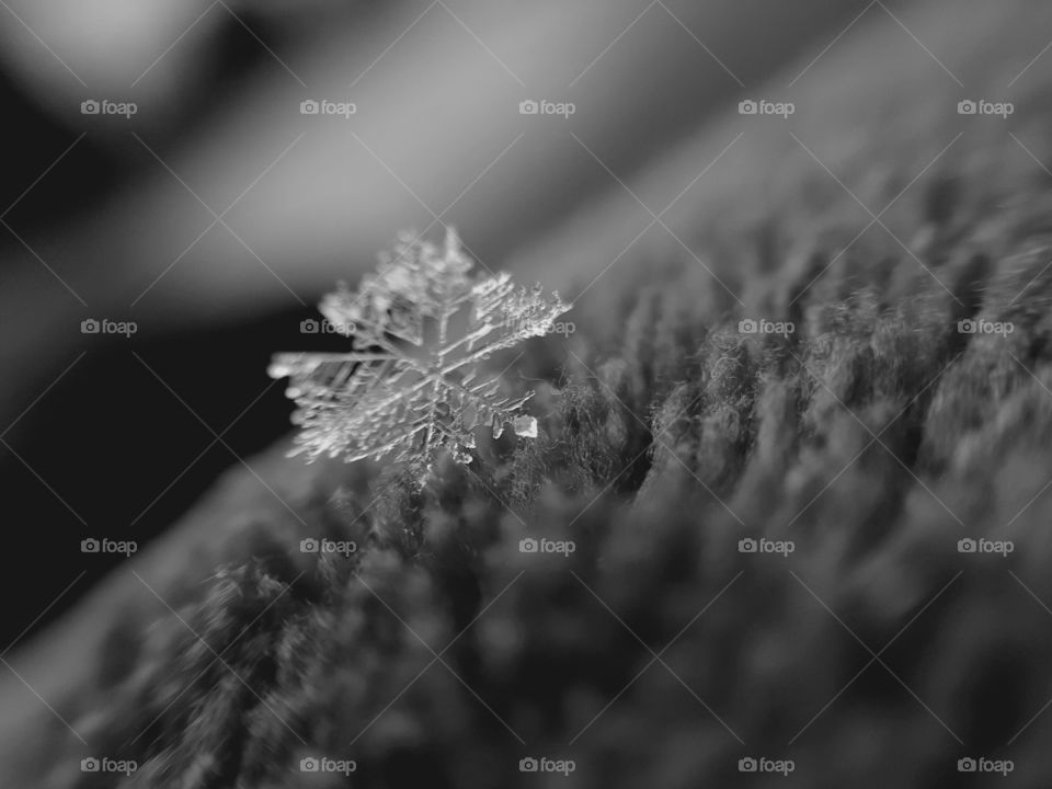 winter's last attempt