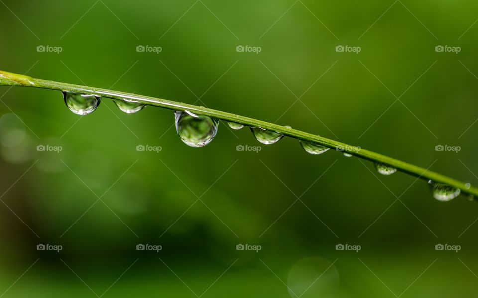 green inside and outside thru the water drops
