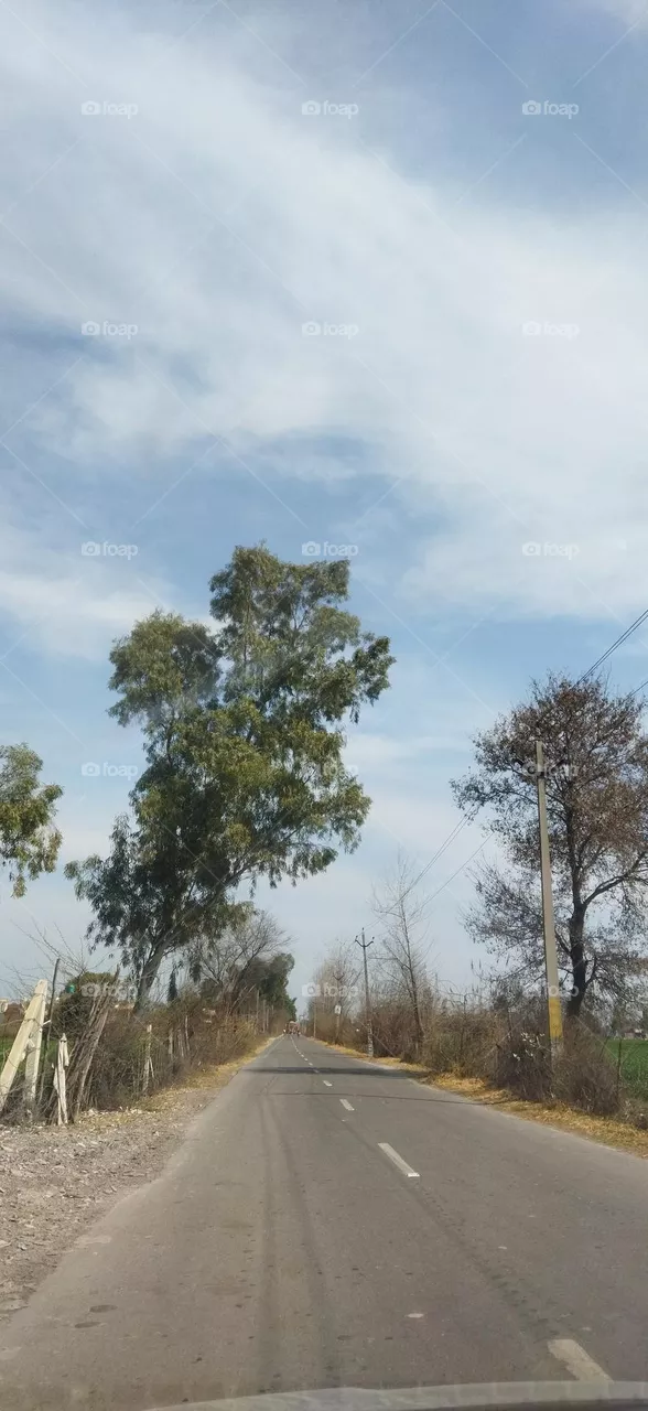 a beautiful view