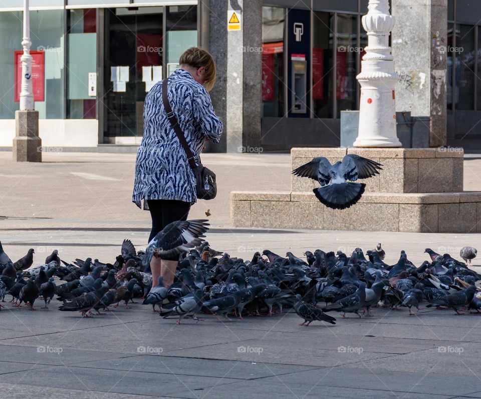 Woman feeding a large group of pigeons in square in city