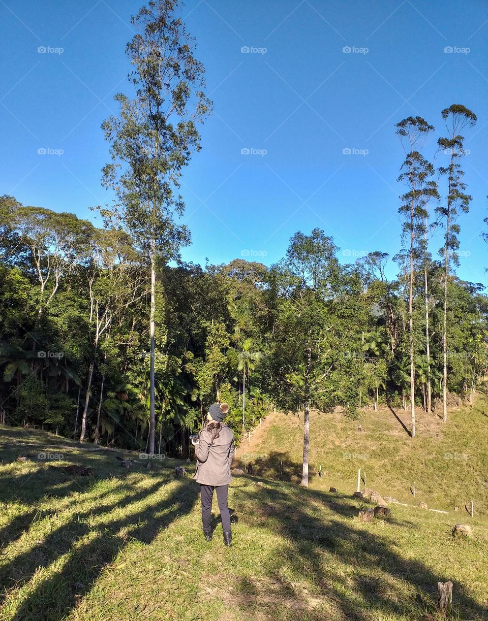 Paisagem para sonhar