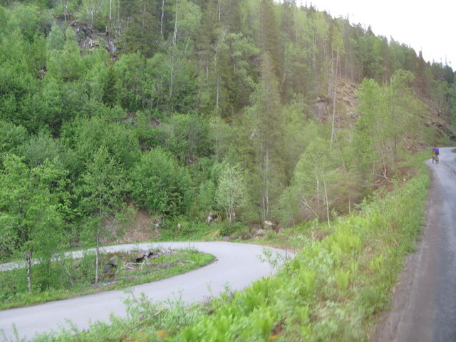 Nature