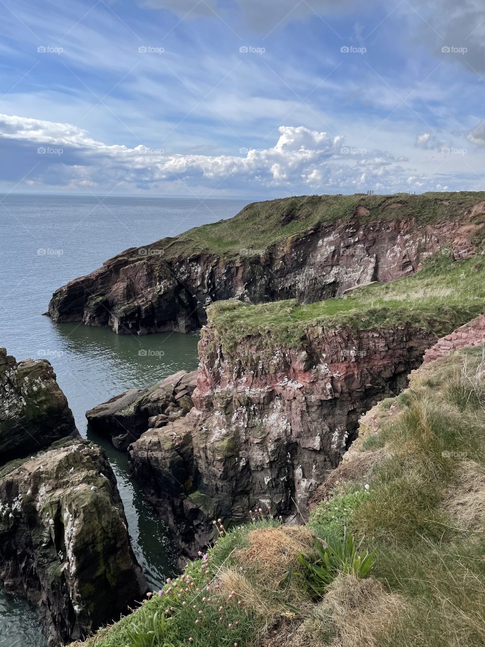 Cliffs in Scotland 