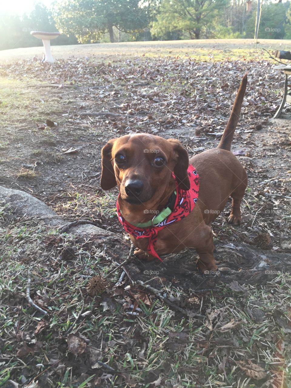 Looking forward to spring 