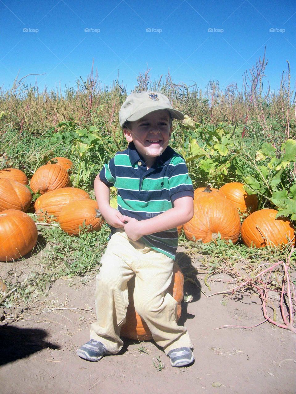 Sitting on a  pumpkin