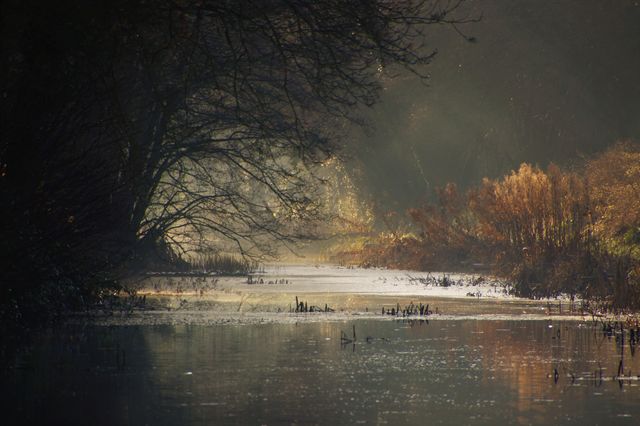 Mystical waters
