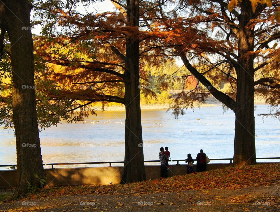 family enjoying the view