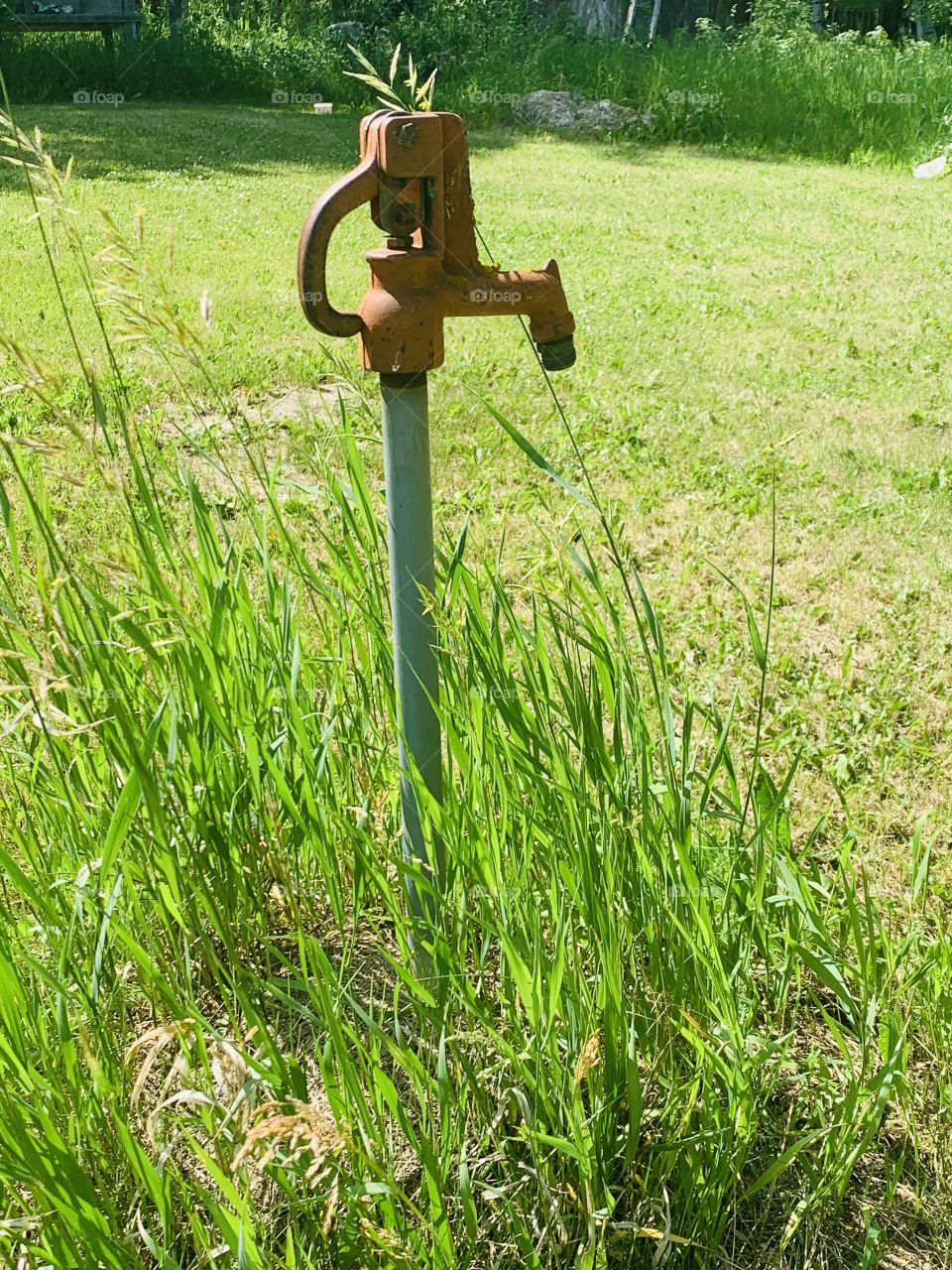 Water pump 